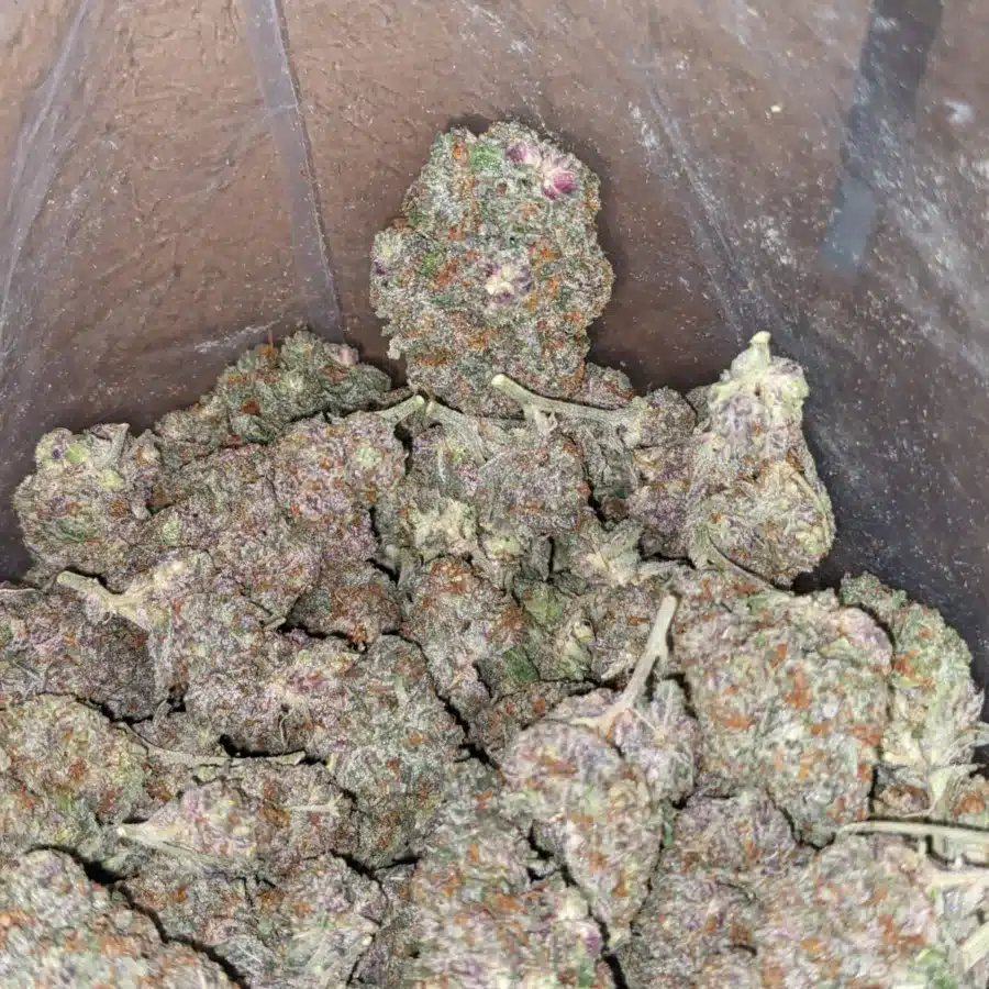 Purple candy 4 I Purple Candy