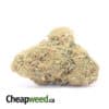 Romulan - *Deal of the Day*