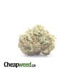 White Bubba - *Deal of the Day*