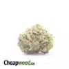 White Bubba - *Deal of the Day*