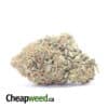White Gas