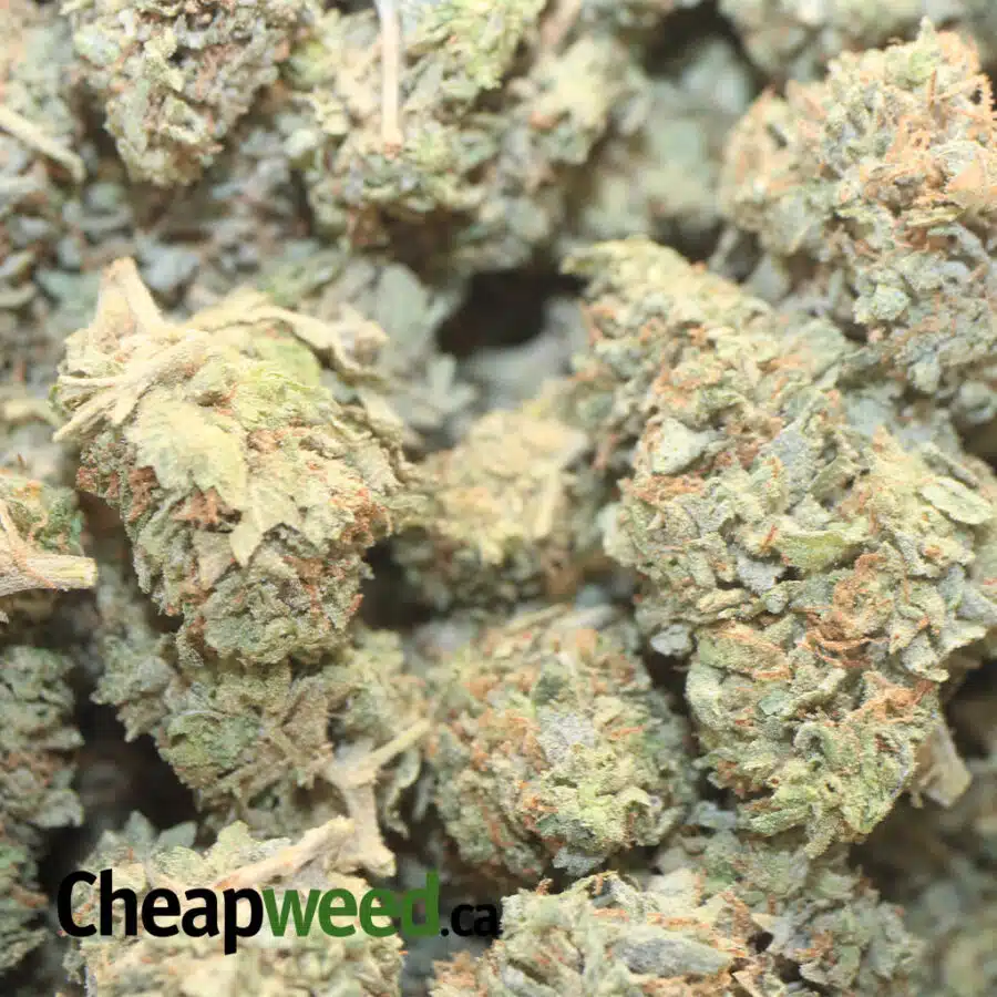 WHITE KOSHER AA 1 I White Kosher AA+