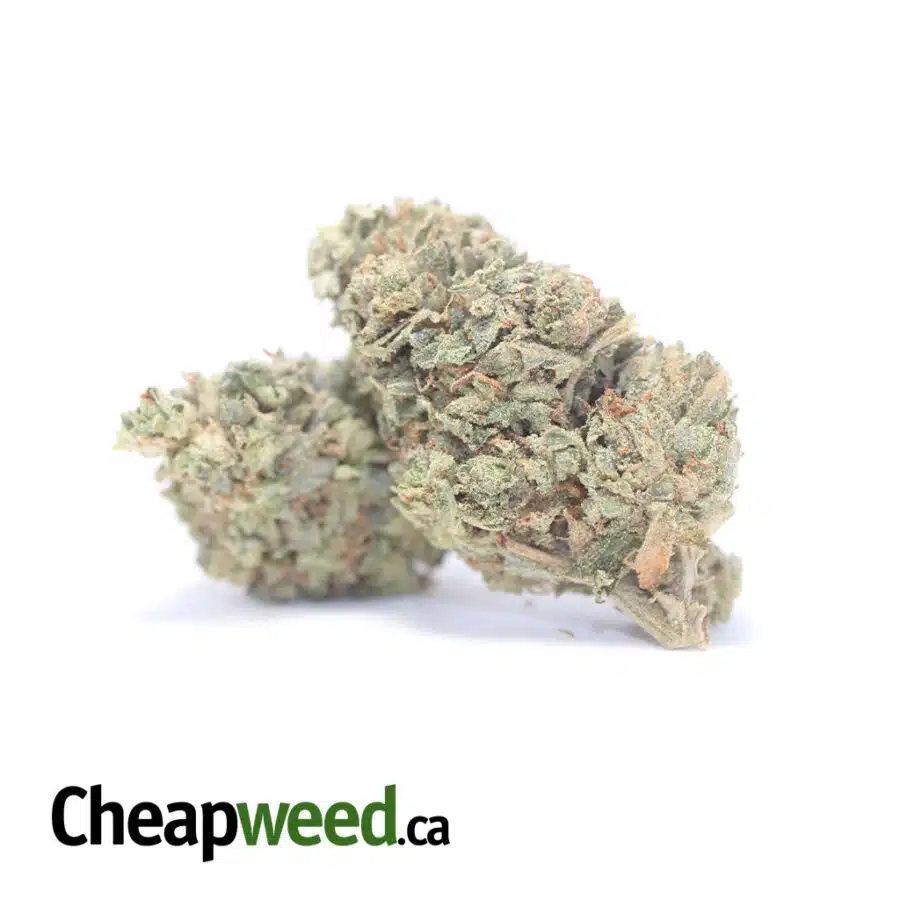 WHITE KOSHER AA 3 I White Kosher AA+
