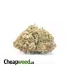 Yellow Kush - *Deal of the Day*