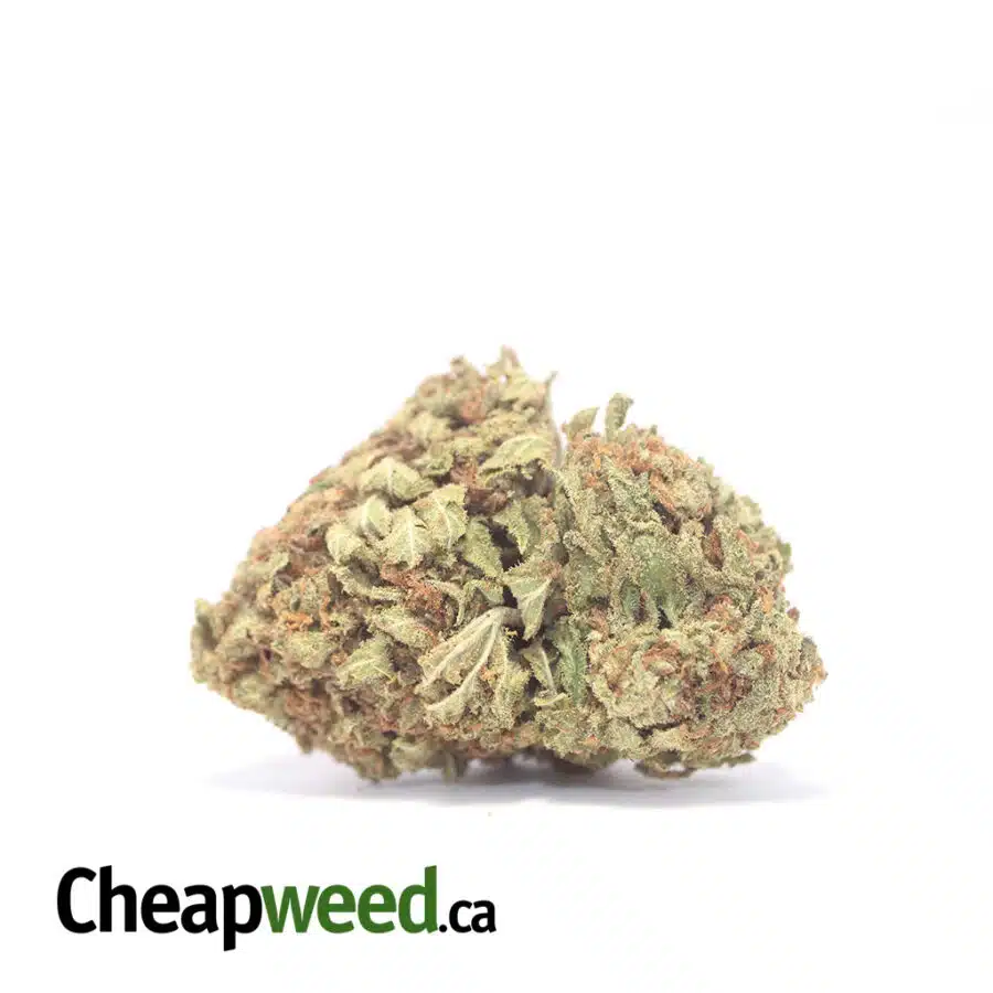 Yellow Kush - *Deal of the Day*