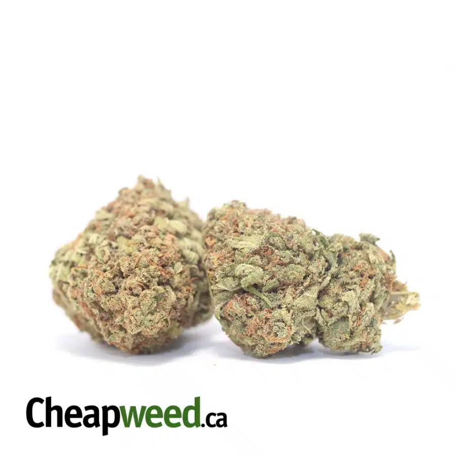 Alternative view of Yellow Kush - *Deal of the Day*