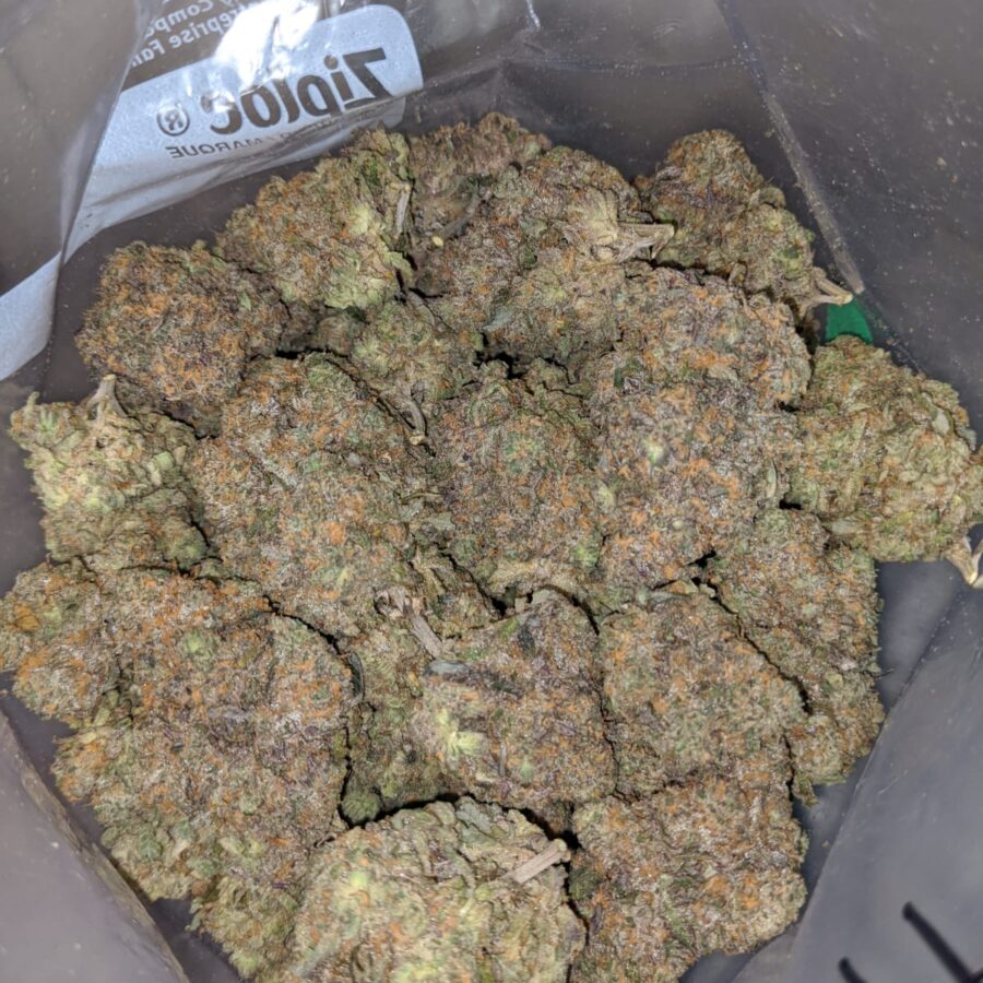 Acai Lemon Berry - Image 7