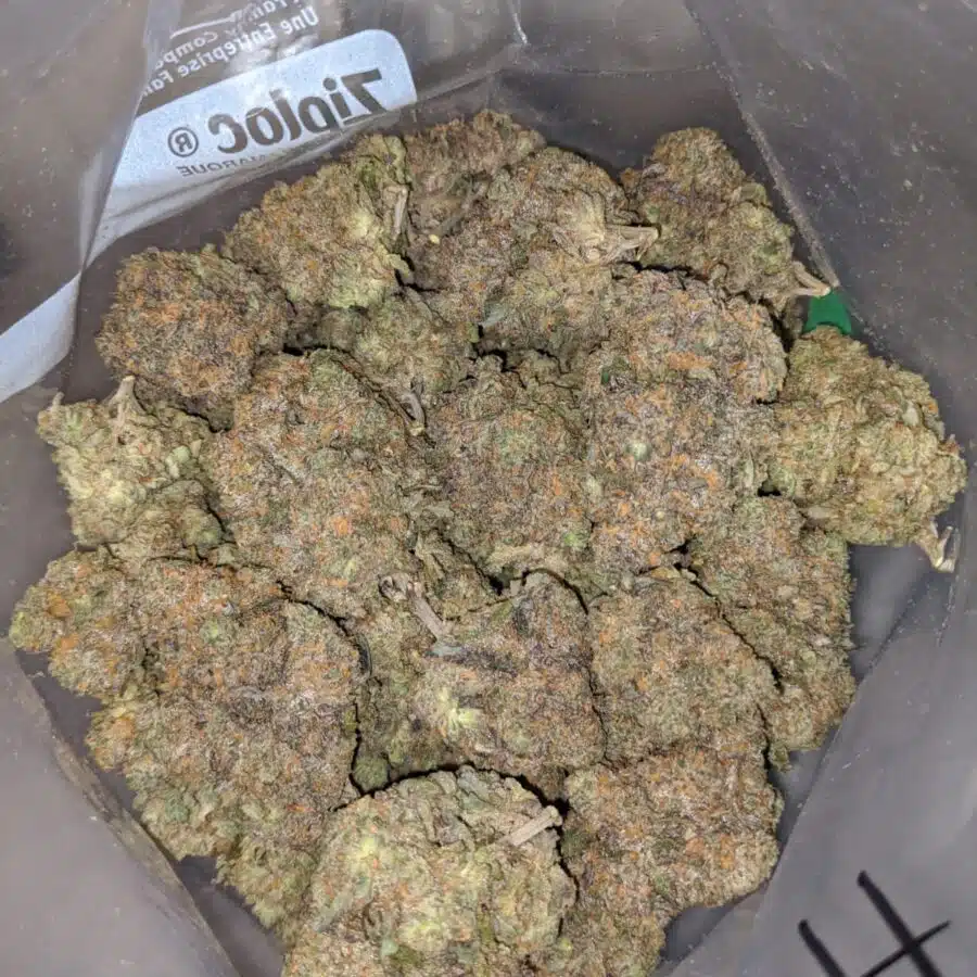 acai lemon berry 4 I Acai Lemon Berry