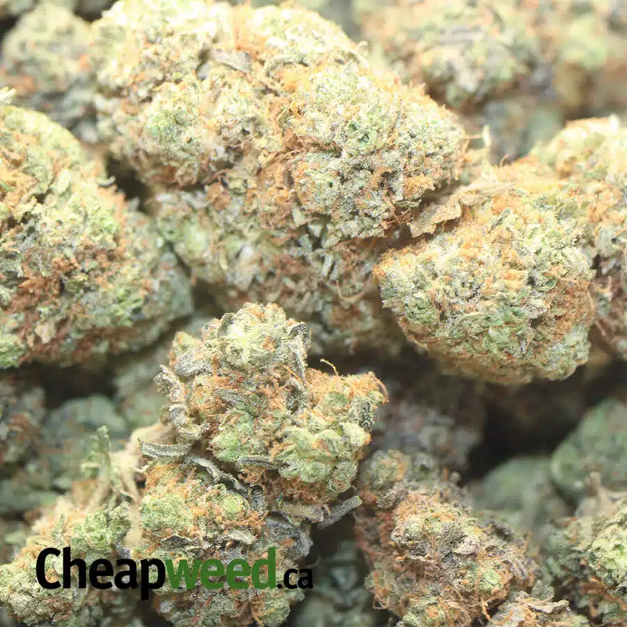 blue kandy dod 2 I Blue Kandy - *Deal Of The Day*