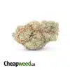 Blue Kandy - *Deal Of The Day*