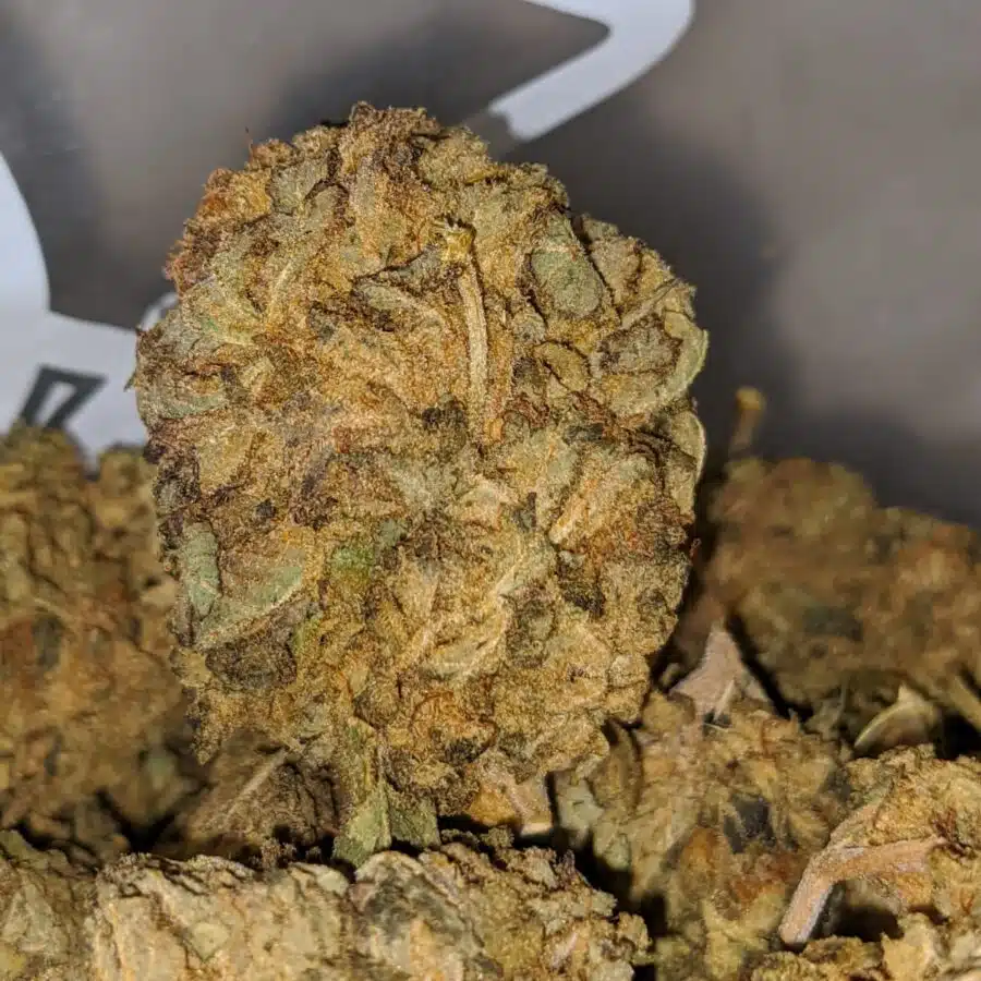 cheap indica 2 I Cheap Indica