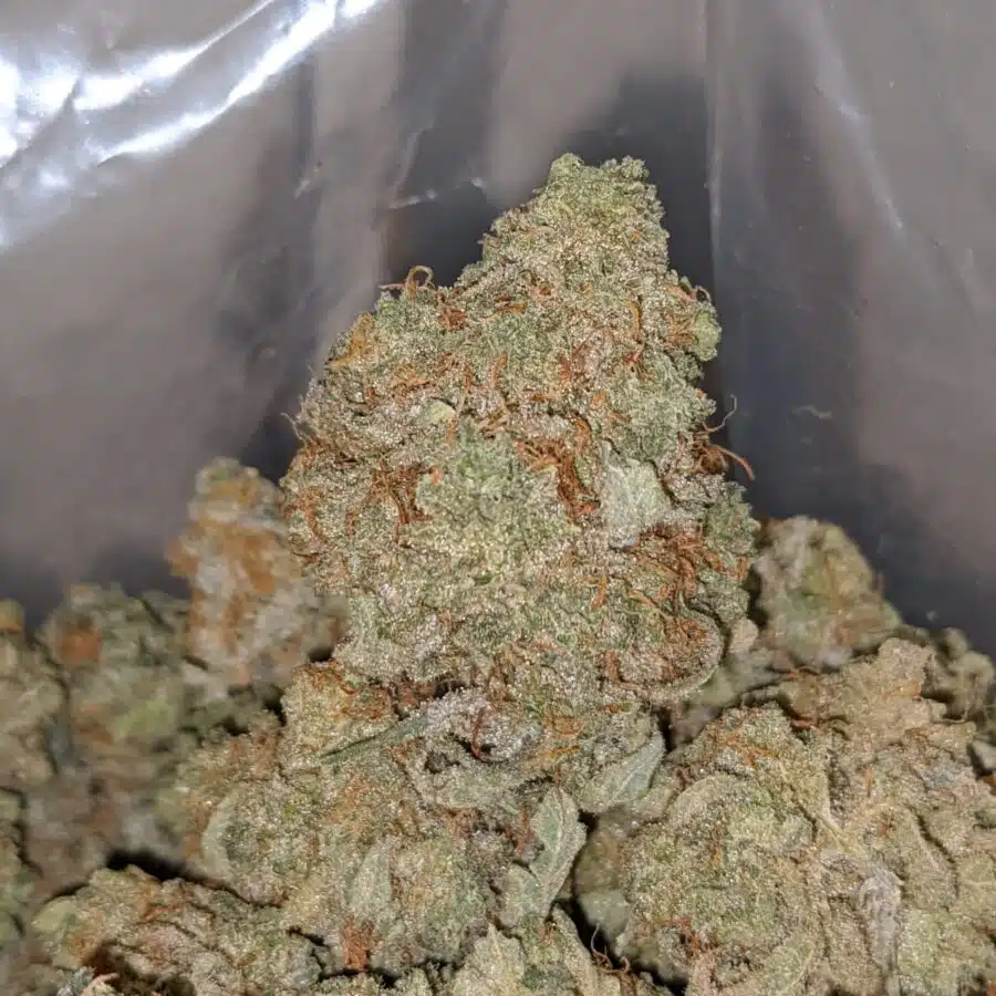 epe 1 I Cheap Pineapple Express