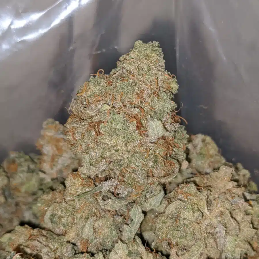 epe 2 I Cheap Pineapple Express