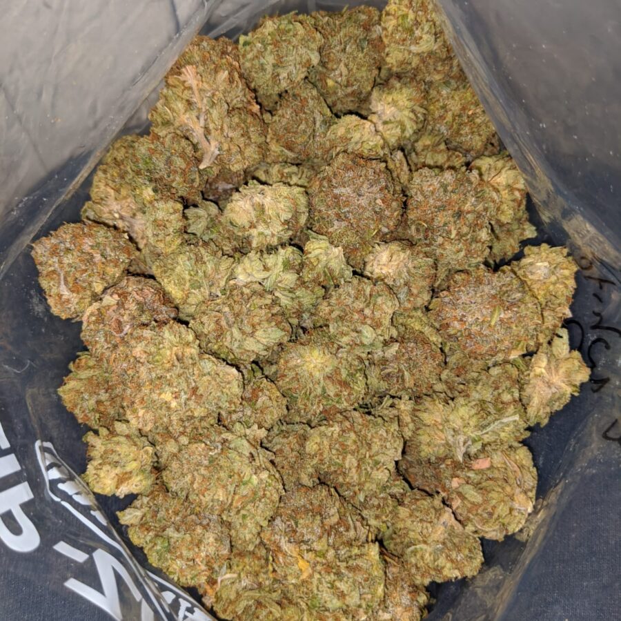 ewb 1 I Kings Bubba - *Deal Of The Day*