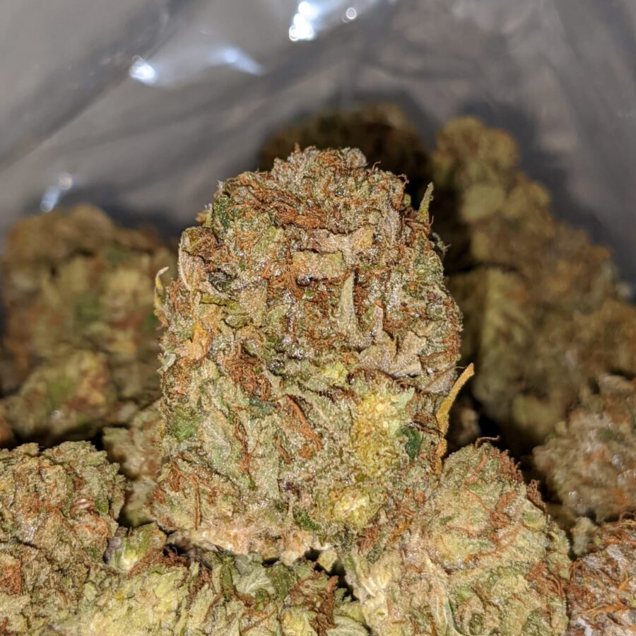 ewb 3 I Kings Bubba - *Deal Of The Day*