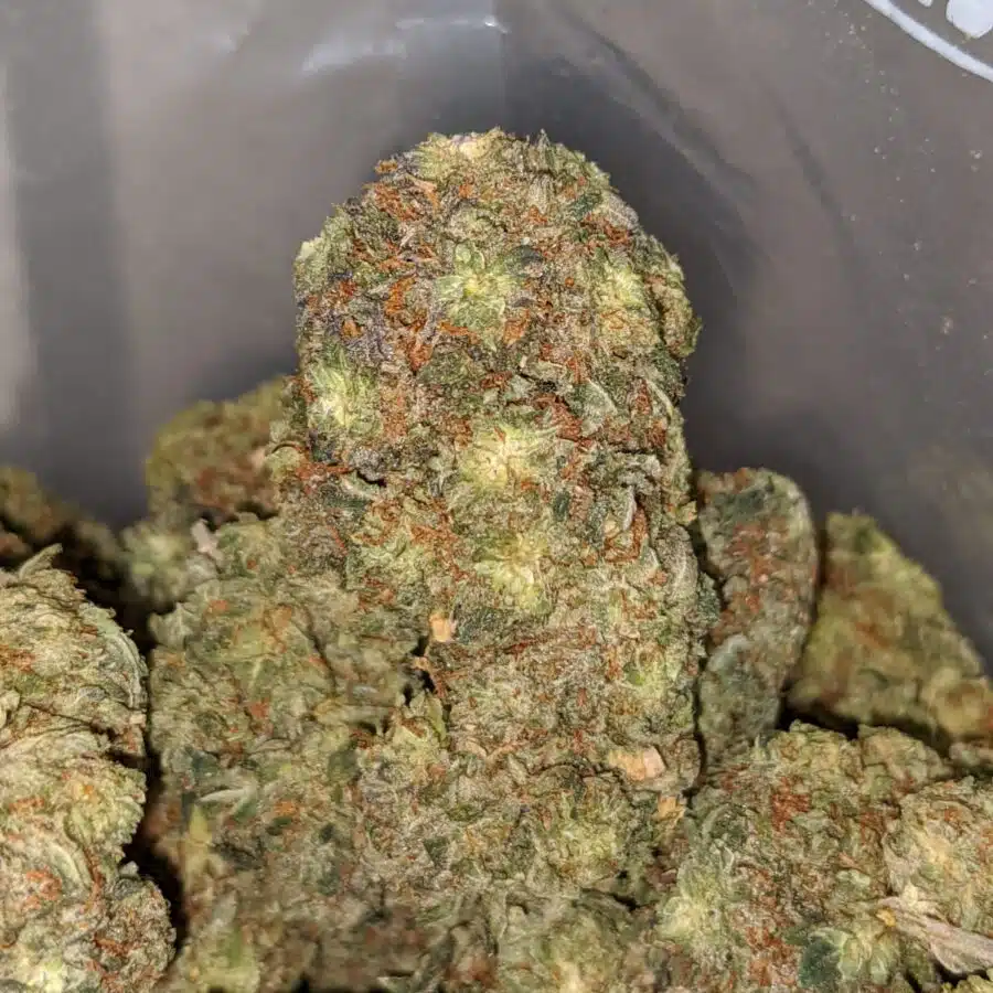hulk dod 1 I Hulk - *Deal Of The Day*