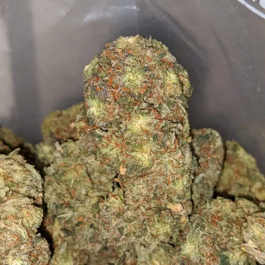 hulk dod 2 I Hulk - *Deal Of The Day*