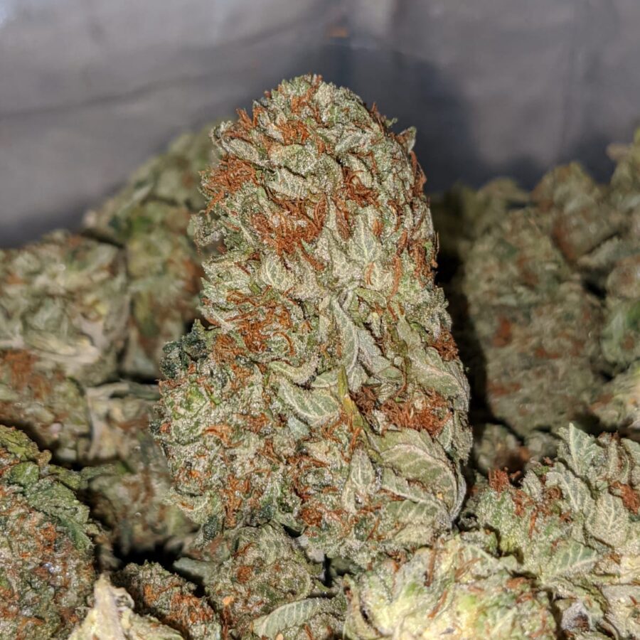 OG Kosher Kush - Image 5