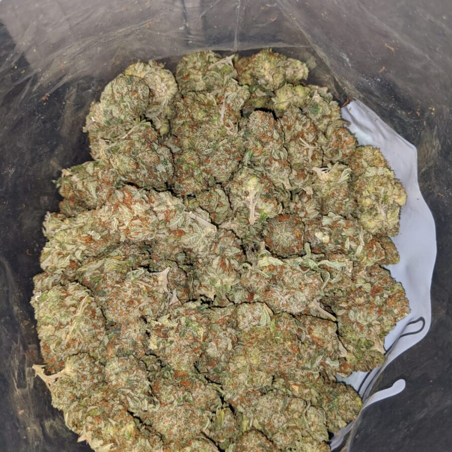 OG Kosher Kush - Image 6