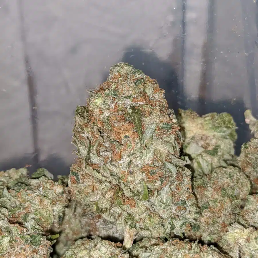 pink gas 1 I Pink Gas