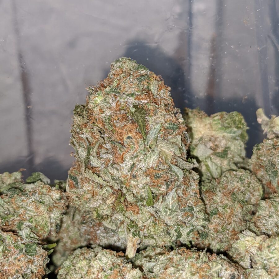 pink gas 2 I Pink Gas
