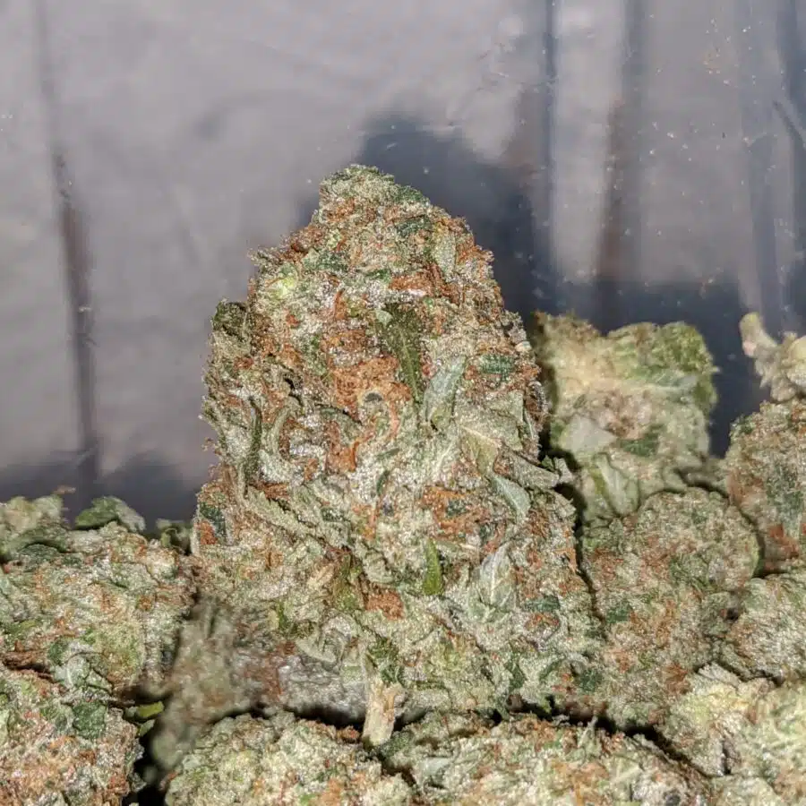 pink gas 2 I Pink Gas