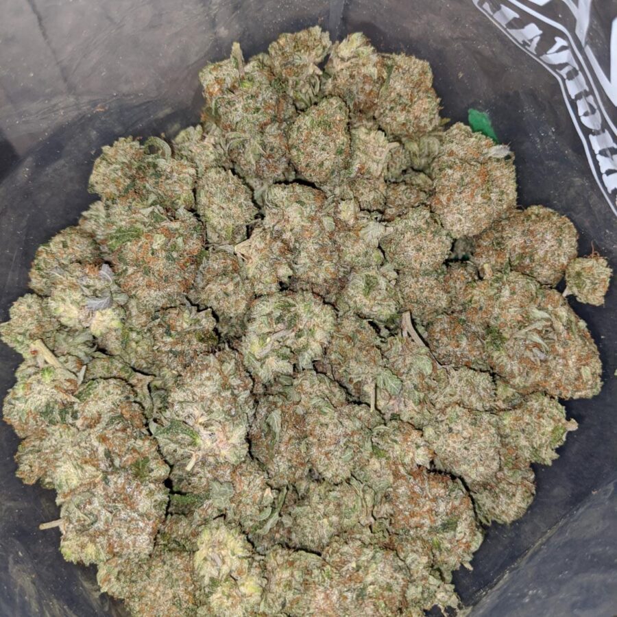 pink gas 3 I Pink Gas