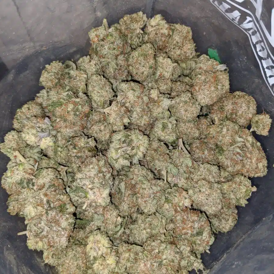 pink gas 3 I Pink Gas