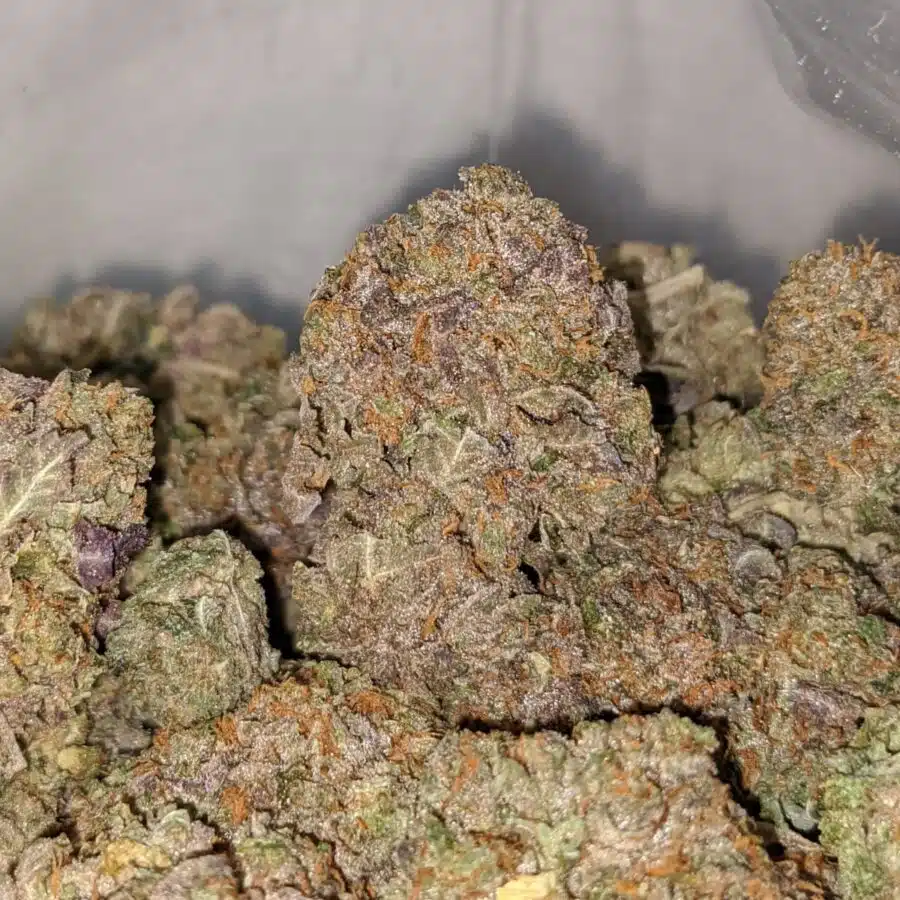 purple bubba dod 1 I Purple Bubba - *Deal Of The Day*