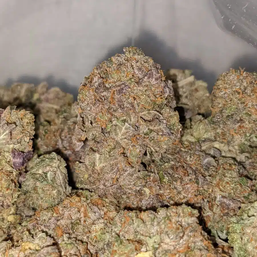purple bubba dod 2 I Purple Bubba - *Deal Of The Day*