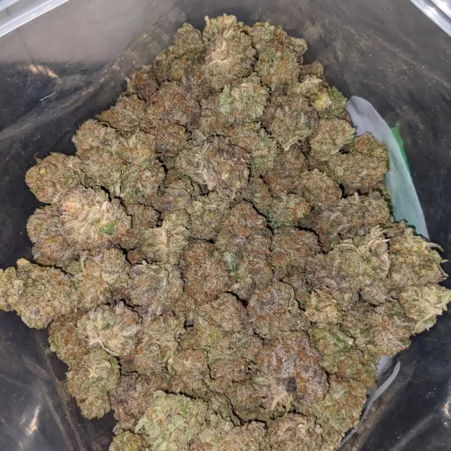 purple bubba dod 4 I Purple Bubba - *Deal Of The Day*