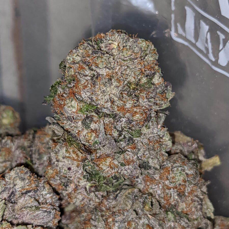 purple rockstar 1 I Purple Rockstar