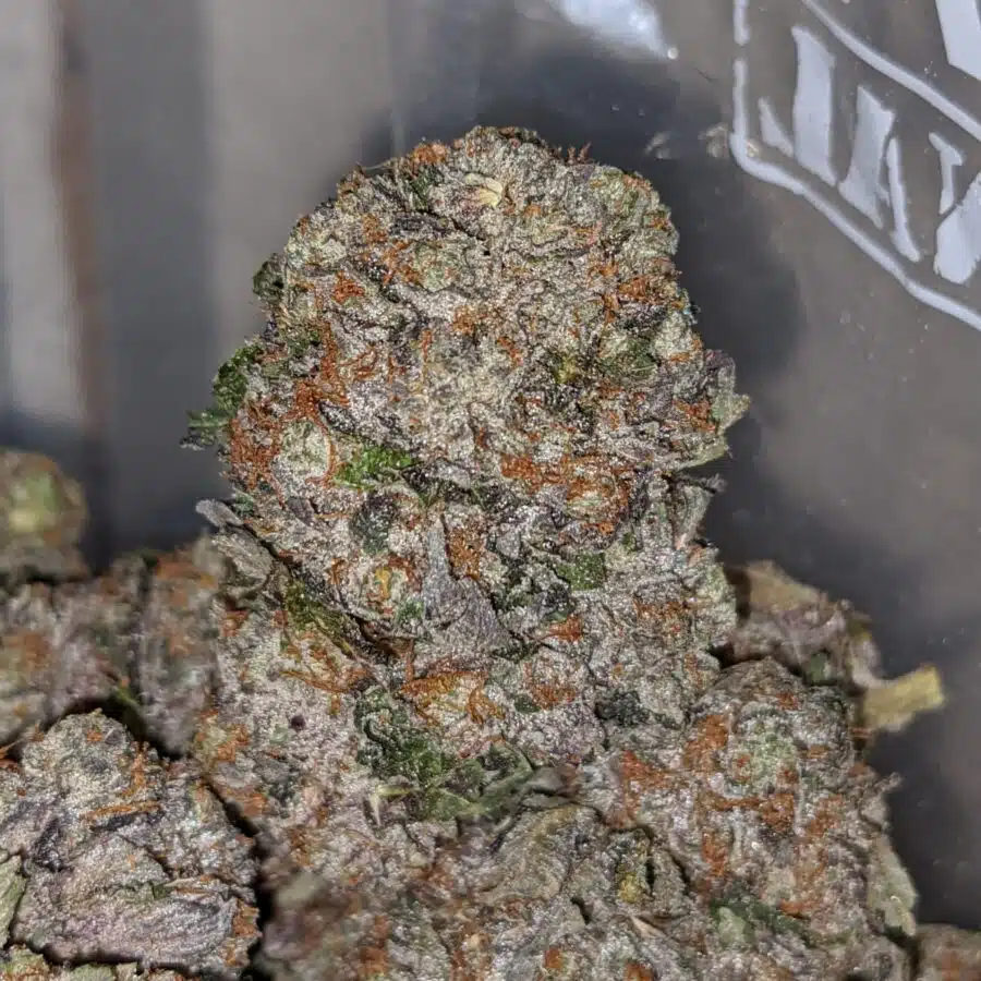 purple rockstar 1 I Purple Rockstar