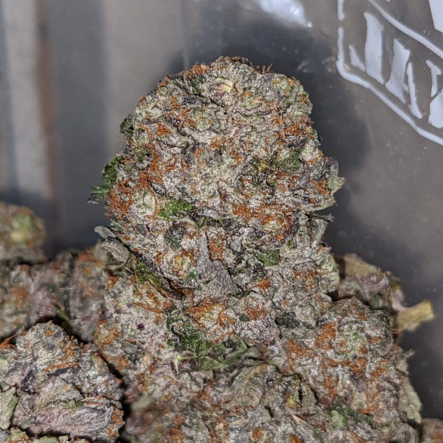 purple rockstar 2 I Purple Rockstar