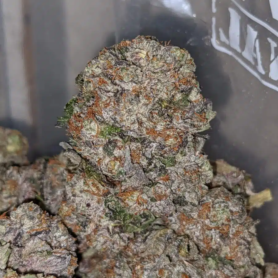 purple rockstar 2 I Purple Rockstar