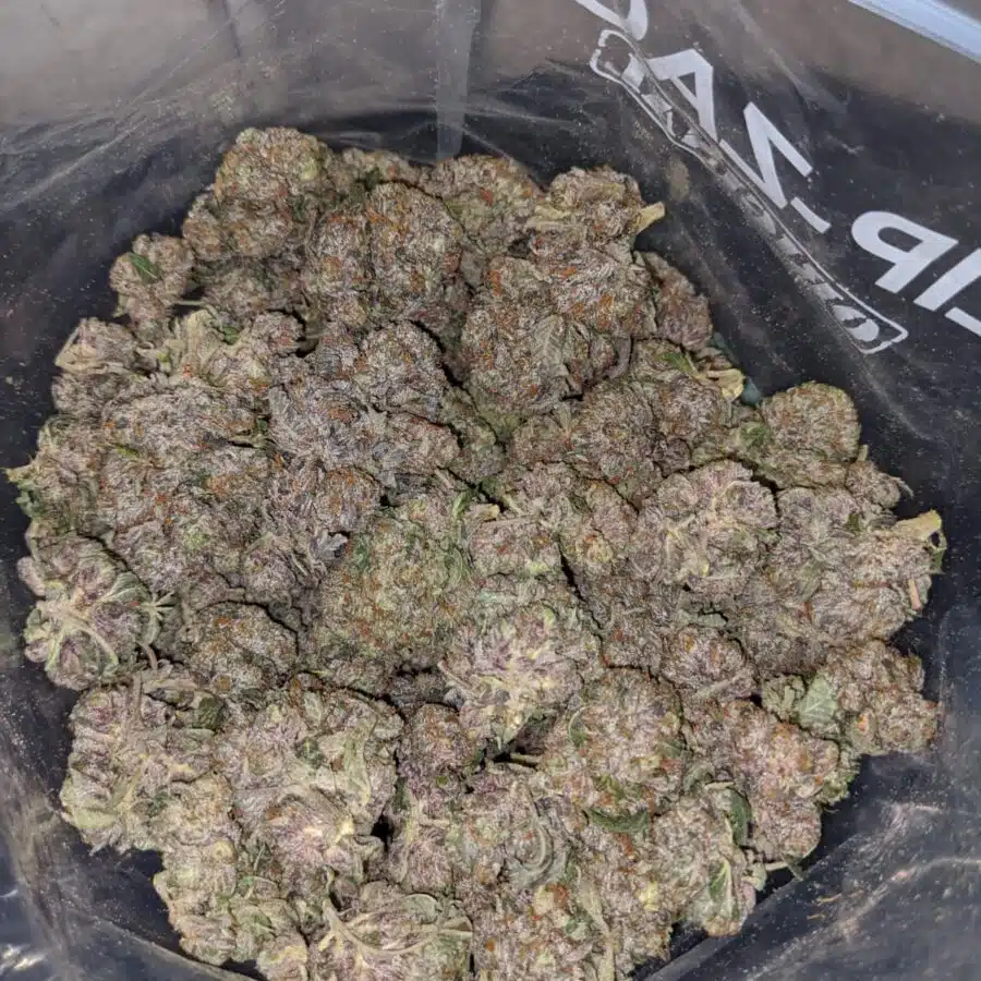 purple rockstar 3 I Purple Rockstar