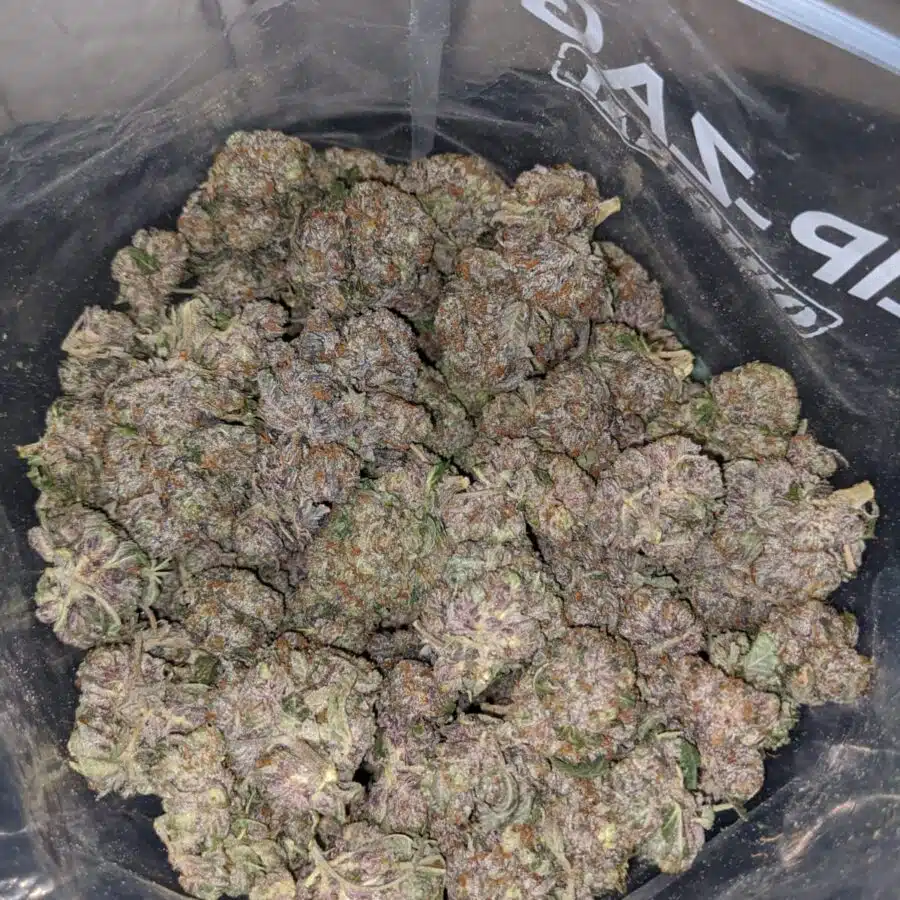 purple rockstar 4 I Purple Rockstar