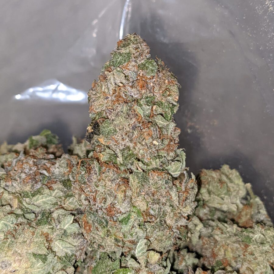 purple rockstar kush dod 1 I Purple Rockstar Kush - *Deal Of The Day*