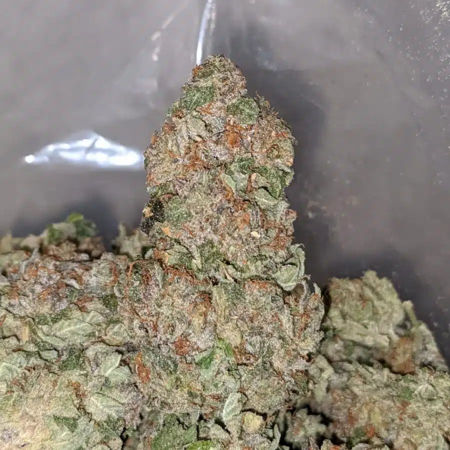 purple rockstar kush dod 1 I Purple Rockstar Kush - *Deal Of The Day*