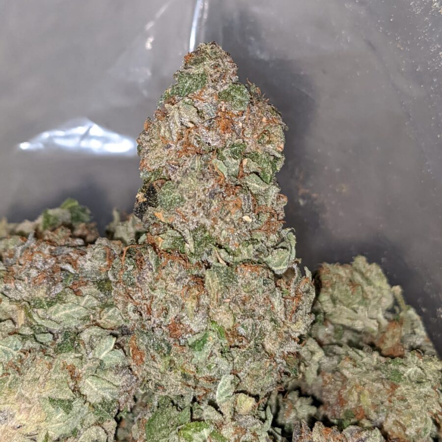purple rockstar kush dod 2 I Purple Rockstar Kush - *Deal Of The Day*