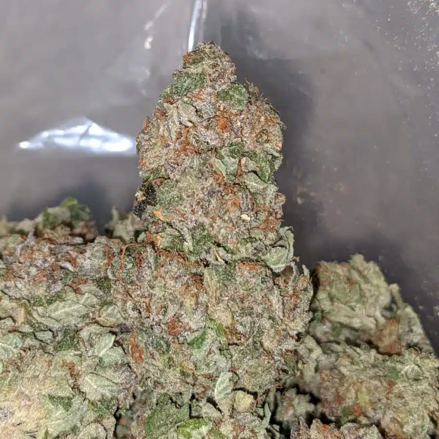 purple rockstar kush dod 2 I Purple Rockstar Kush - *Deal Of The Day*