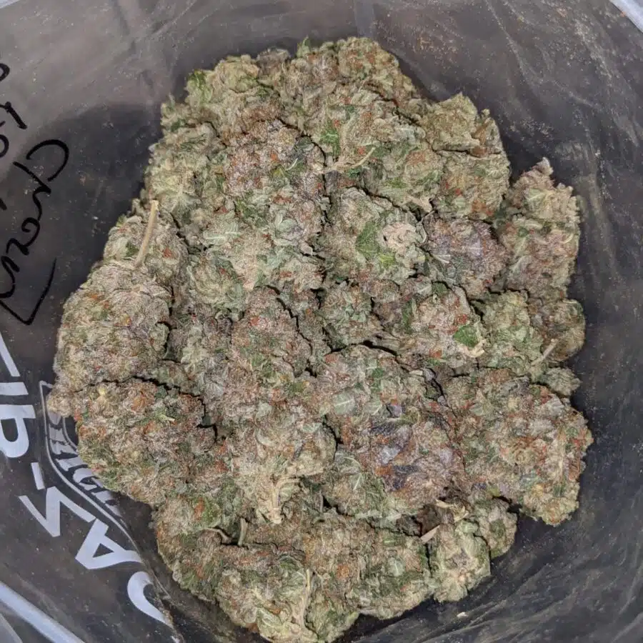 Purple Rockstar Kush - *Deal Of The Day*