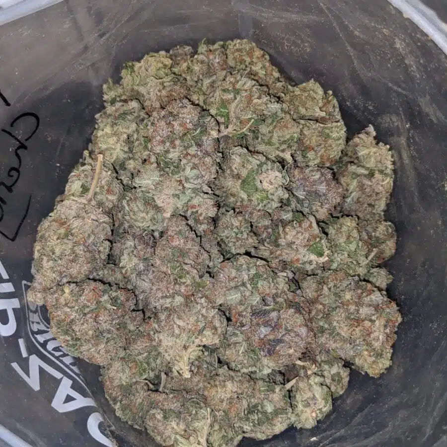 Alternative view of Purple Rockstar Kush - *Deal Of The Day*