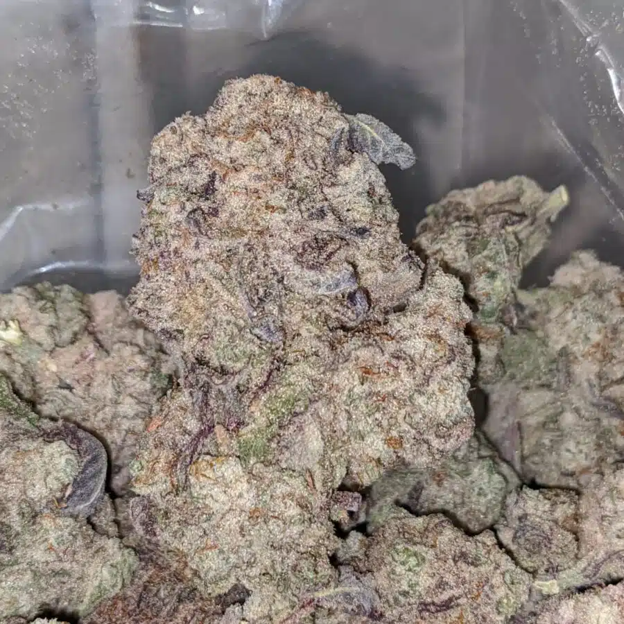 purple stardawg 1 I $75 Oz - Purple Stardawg