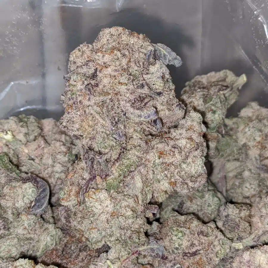 purple stardawg 2 I $75 Oz - Purple Stardawg