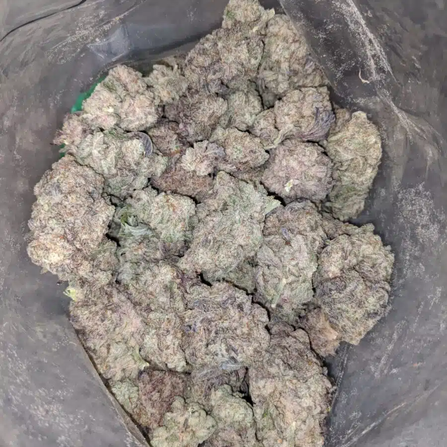 purple stardawg 3 I $75 Oz - Purple Stardawg