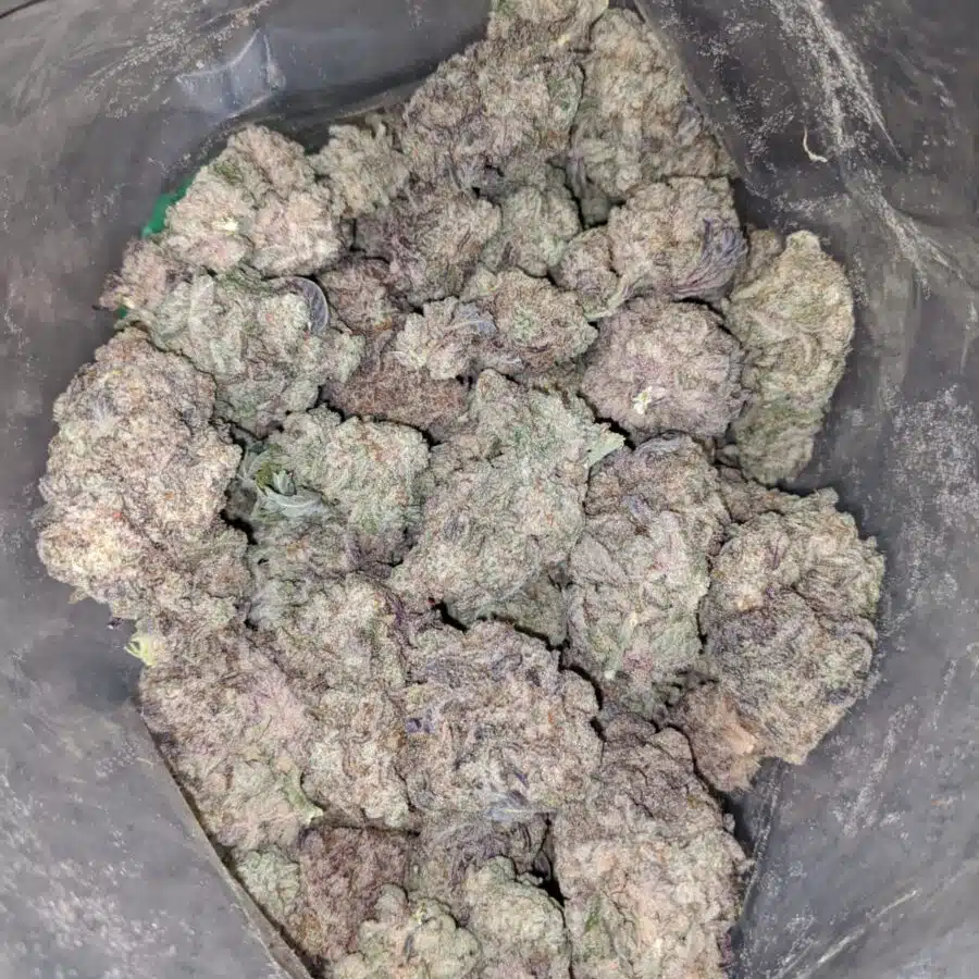 purple stardawg 4 I $75 Oz - Purple Stardawg