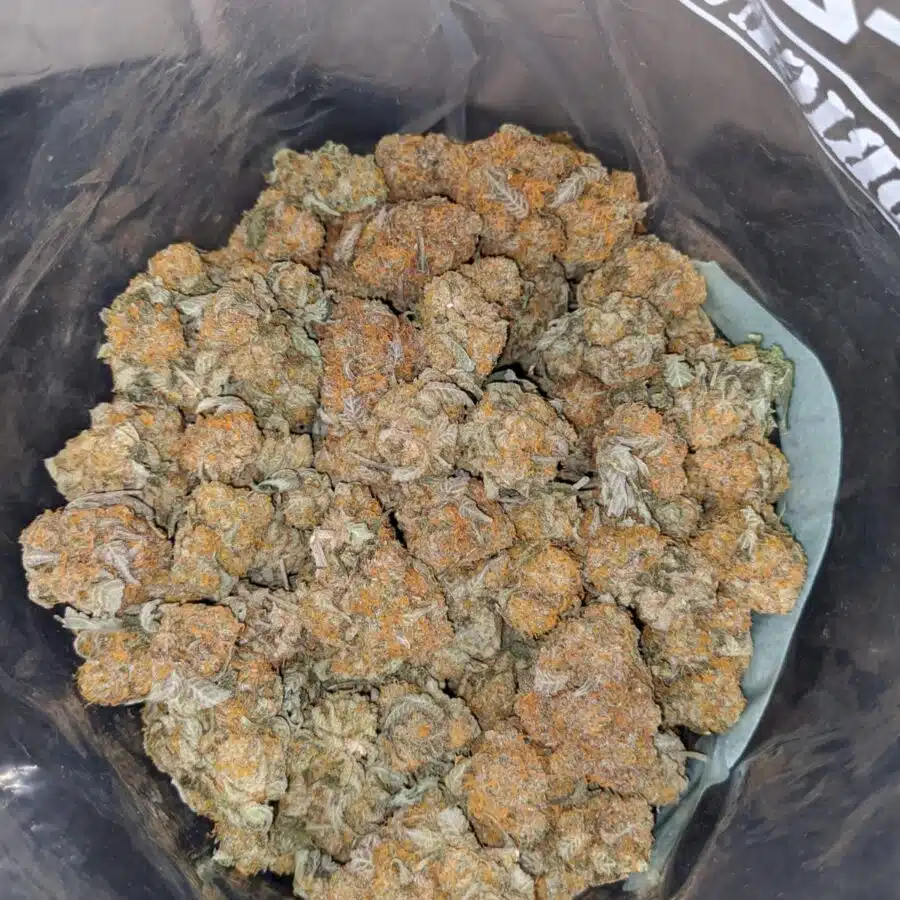 red congo dod 4 I Red Congo - *Deal of the Day*
