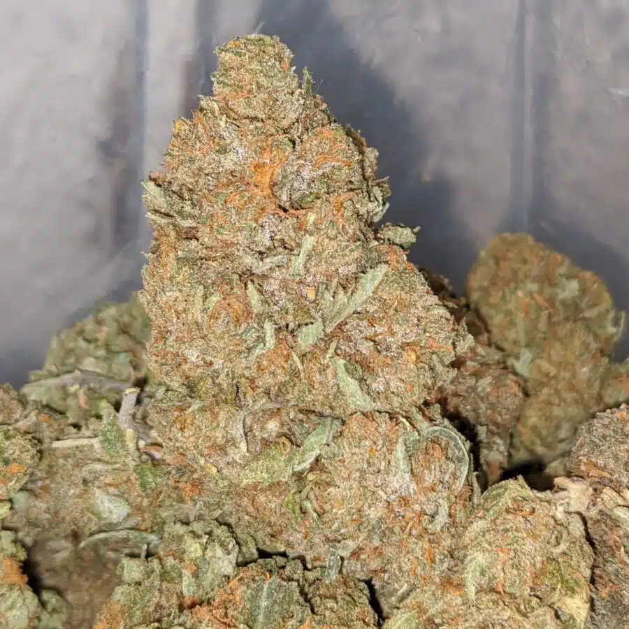 tony wtf kush 1 I WTF Kush #2