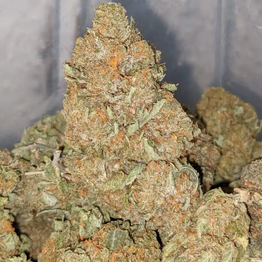 tony wtf kush 2 I WTF Kush #2